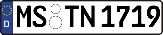 MS-TN1719