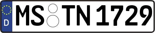 MS-TN1729