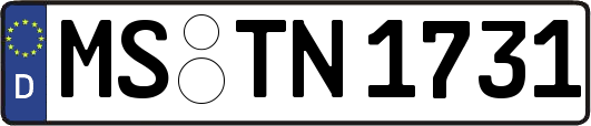 MS-TN1731