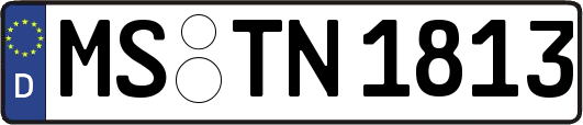 MS-TN1813