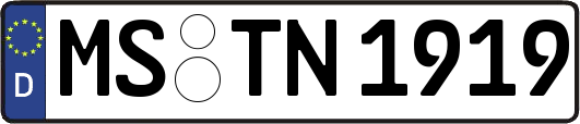 MS-TN1919