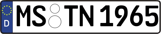 MS-TN1965