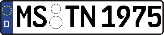 MS-TN1975