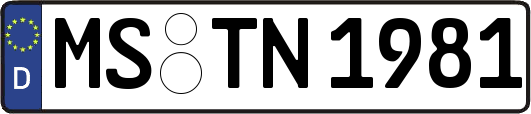 MS-TN1981