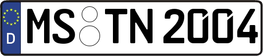 MS-TN2004