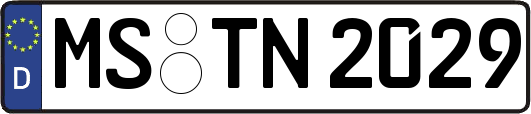 MS-TN2029
