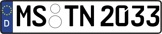 MS-TN2033