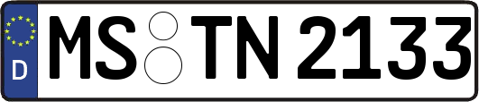 MS-TN2133
