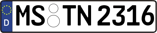 MS-TN2316