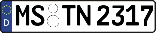 MS-TN2317