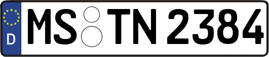 MS-TN2384