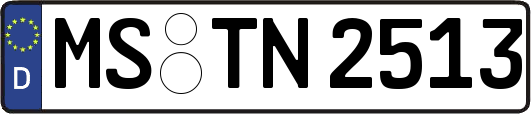 MS-TN2513