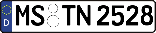 MS-TN2528