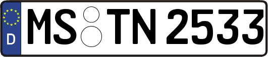 MS-TN2533