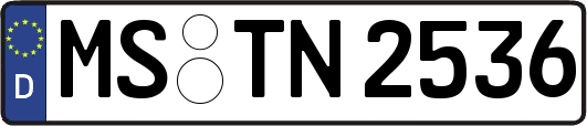 MS-TN2536