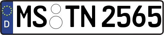MS-TN2565