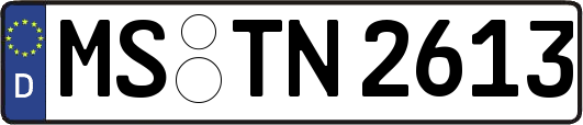MS-TN2613