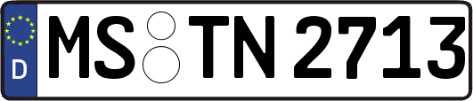 MS-TN2713