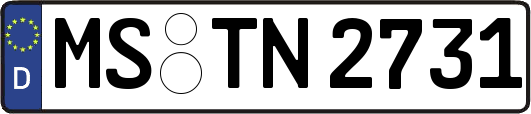 MS-TN2731