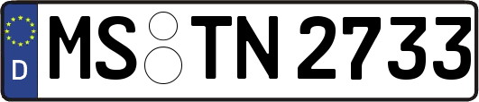MS-TN2733