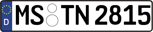 MS-TN2815