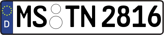 MS-TN2816