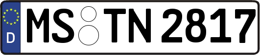 MS-TN2817