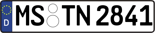 MS-TN2841