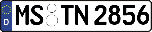 MS-TN2856