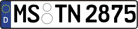 MS-TN2875