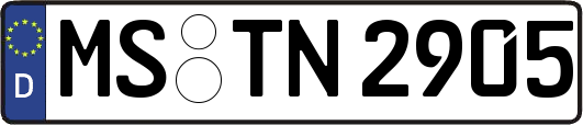MS-TN2905