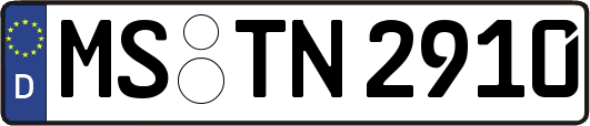 MS-TN2910