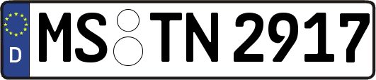 MS-TN2917