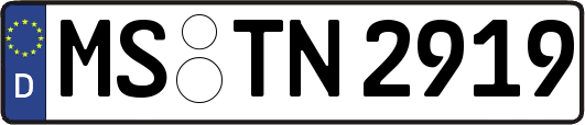 MS-TN2919
