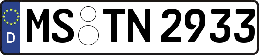 MS-TN2933