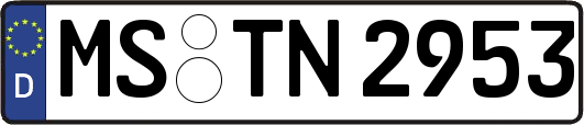 MS-TN2953