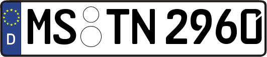 MS-TN2960