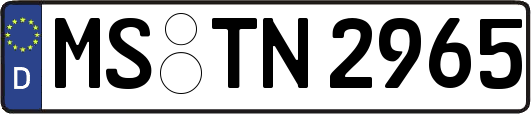 MS-TN2965