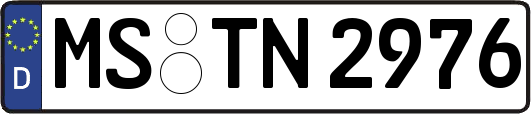 MS-TN2976