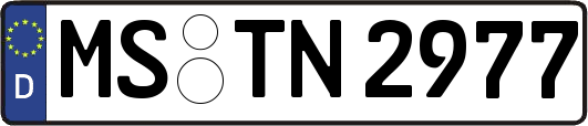 MS-TN2977