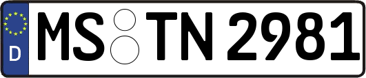 MS-TN2981