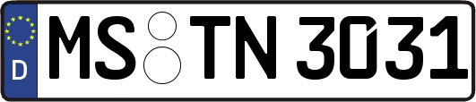 MS-TN3031