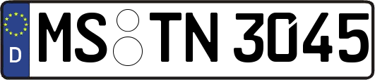 MS-TN3045