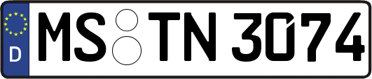 MS-TN3074