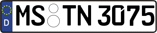MS-TN3075