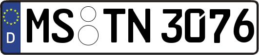 MS-TN3076