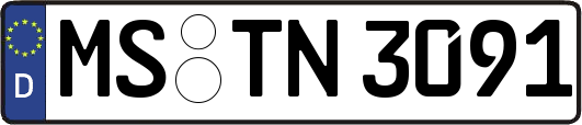 MS-TN3091