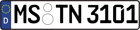 MS-TN3101