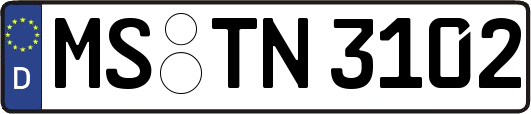 MS-TN3102