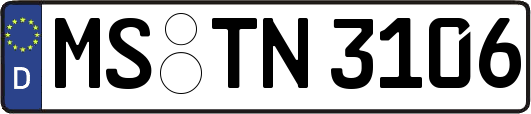MS-TN3106